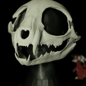 Base de tête Fursuit - SkullCat Mignon 😺