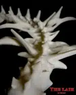 Queue Skull Furry Cosplay