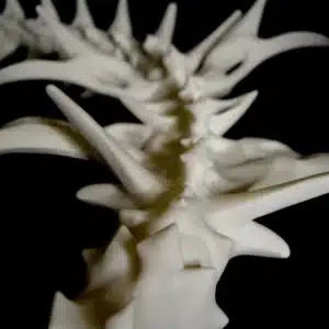 Queue Skull Furry Cosplay