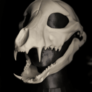 Base de tête Fursuit - Skulldog