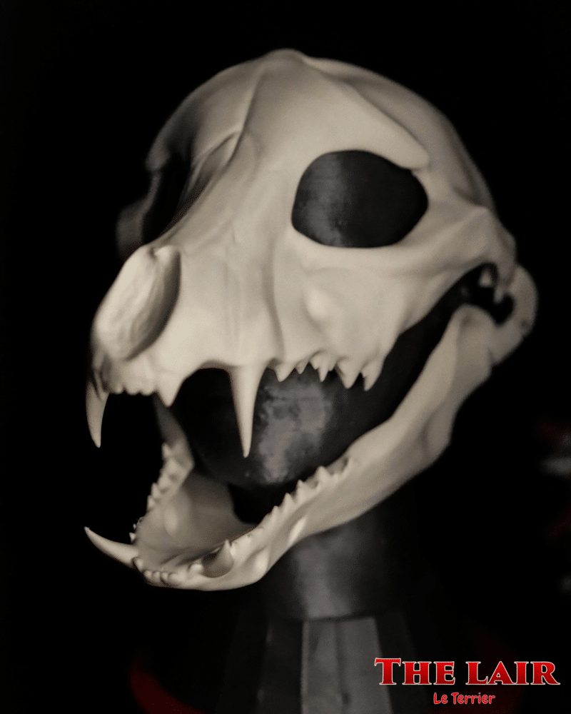 Base de tête Fursuit - Skulldog