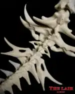 Queue Skull Furry Cosplay