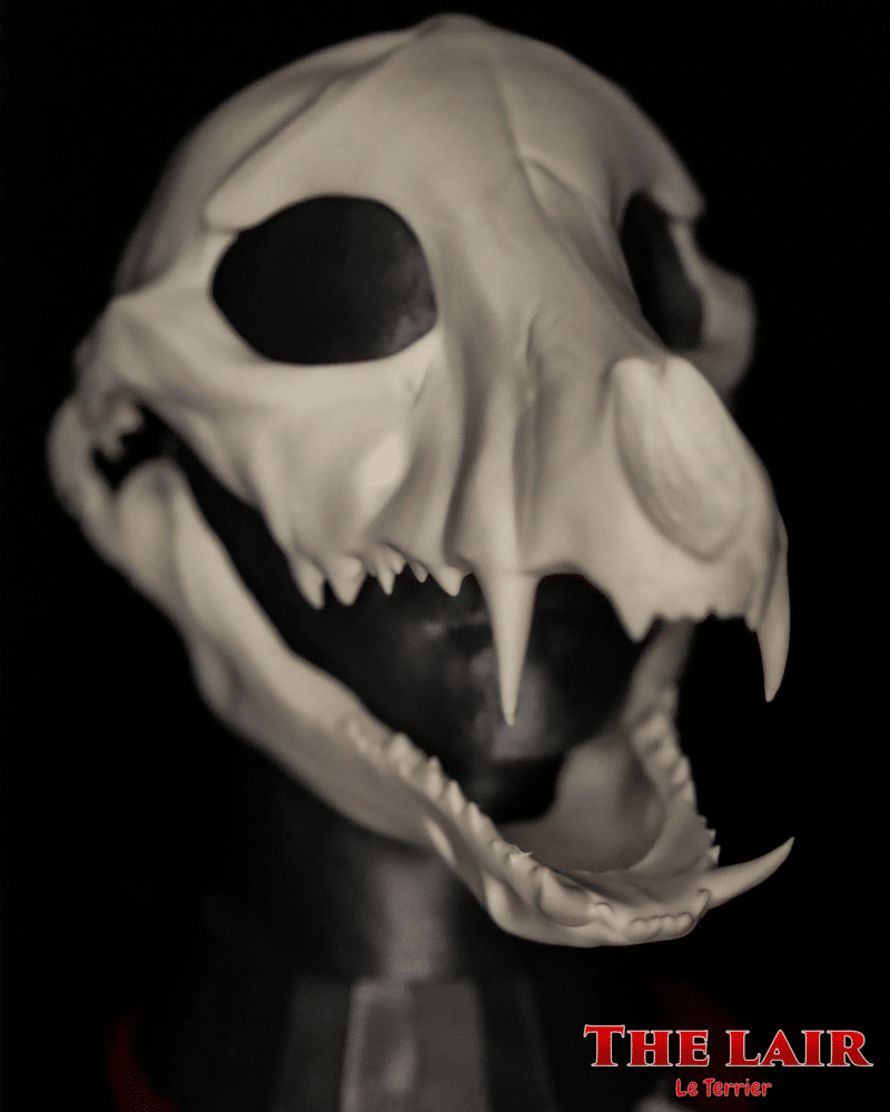 Base de tête Fursuit - Skulldog 💀