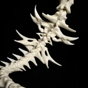 Queue Skull Furry Cosplay