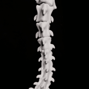 Queue Skull Furry Cosplay